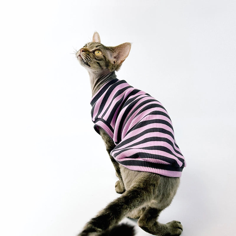 Black Purple Striped Tank Top for Sphynx Cat