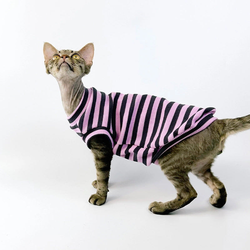 Black Purple Striped Tank Top for Sphynx Cat