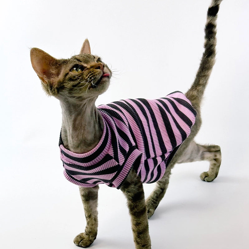 Black Purple Striped Tank Top for Sphynx Cat