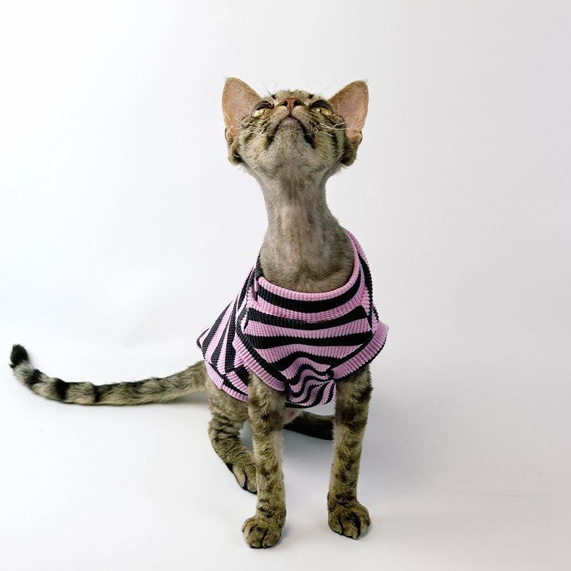 Black Purple Striped Tank Top for Sphynx Cat