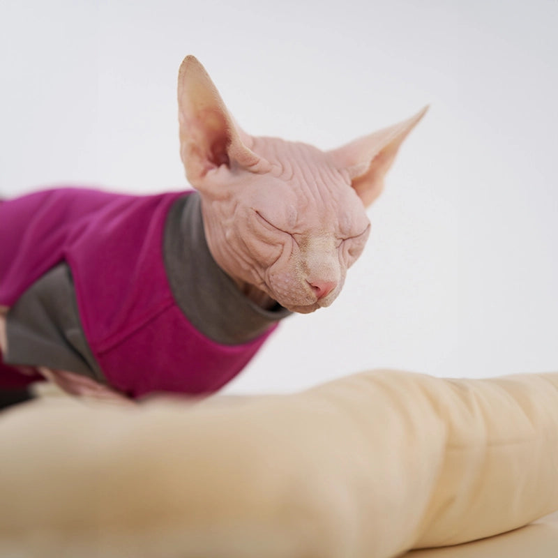 Thick Contrast Shirt for Sphynx Cat