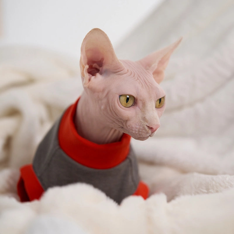 Thick Contrast Shirt for Sphynx Cat