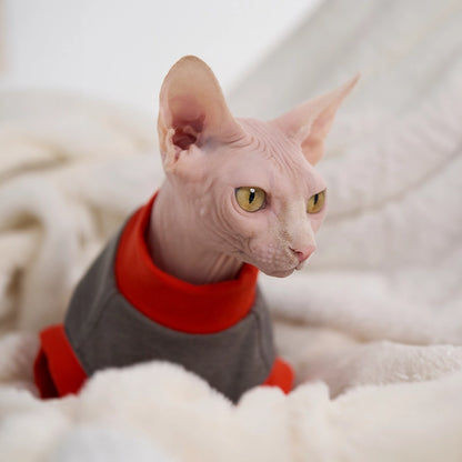 Thick Contrast Shirt for Sphynx Cat